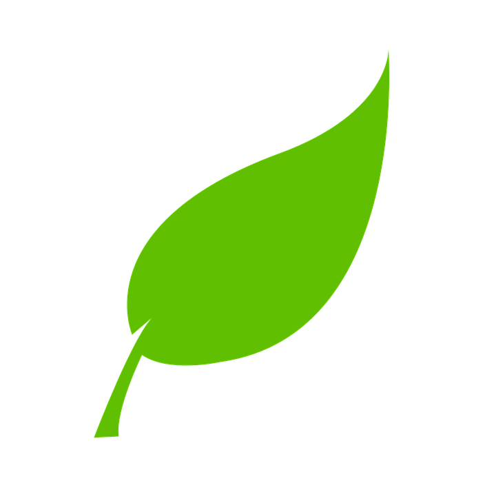 ATIVIDADE SUSTENTÁVEL: A Atividade Espírita quantifica a emissão de carbono gerada pelo seu funcionamento e faz a compensação (neutralização) com o plantio de árvores nativas da mata atlântica. Atividade Espírita Carbono Neutro