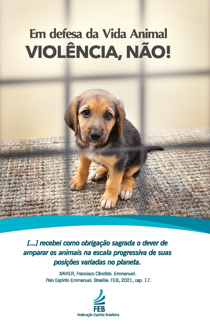 Em defesa da vida animal